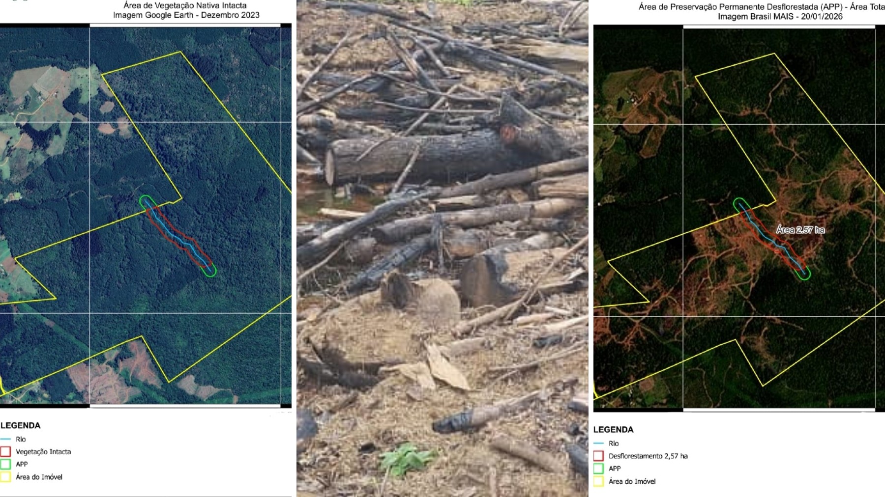 Denúncia, fiscalização e imagens de satélite levam polícia a descobrir desmatamento ilegal e aplicar multa de R$ 90 mil no Paraná