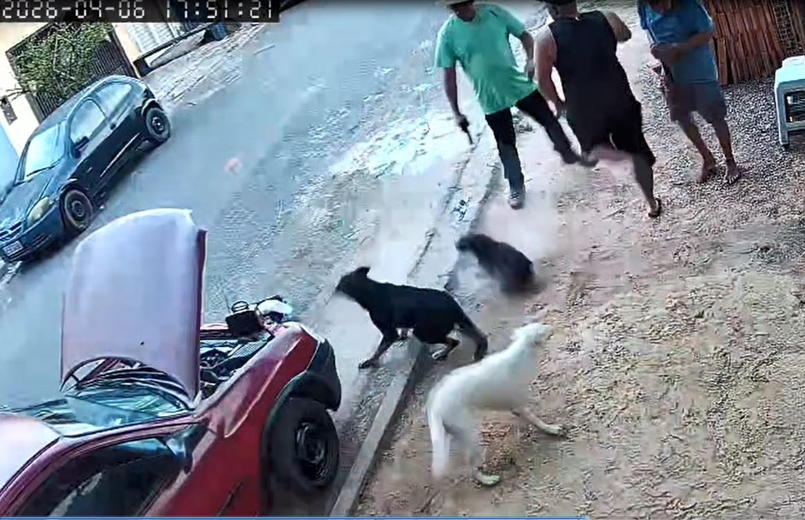 VÍDEO: vereador e policial civil se irrita com cães e atira durante ação contra o tráfico de drogas no interior de SP