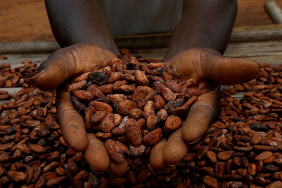 Amêndoas de cacau — Foto: REUTERS/Luc Gnago