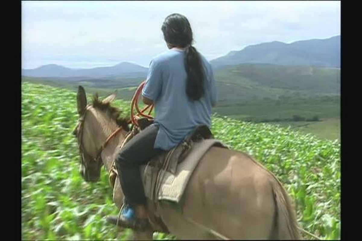 Baú do Globo Rural: relembre a história das filhas de seu 'Zé Izá', família que vivia isolada na Serra da Canastra 