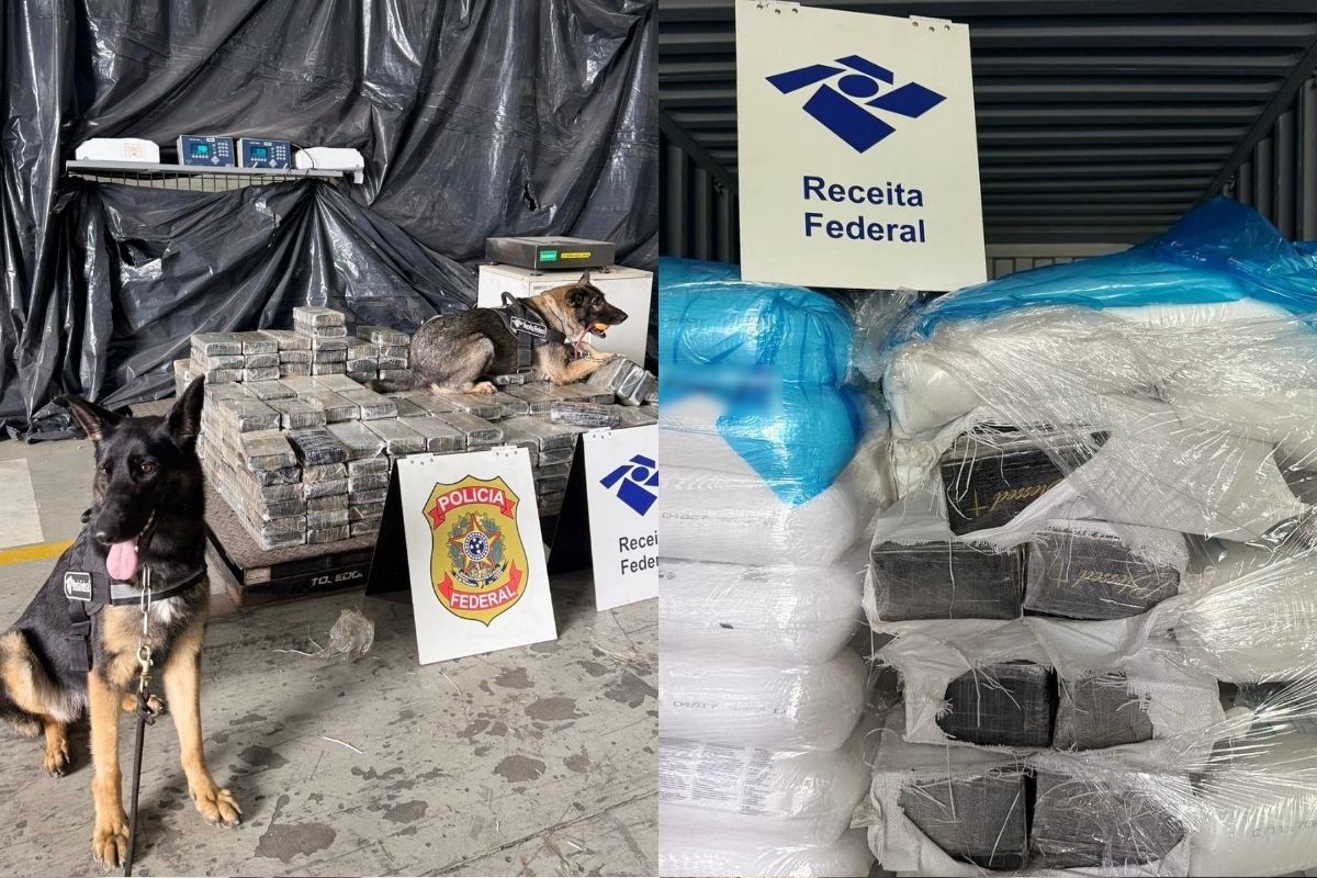 Receita Federal apreende mais de 400 kg de cocaína no Porto de Santos; VÍDEO