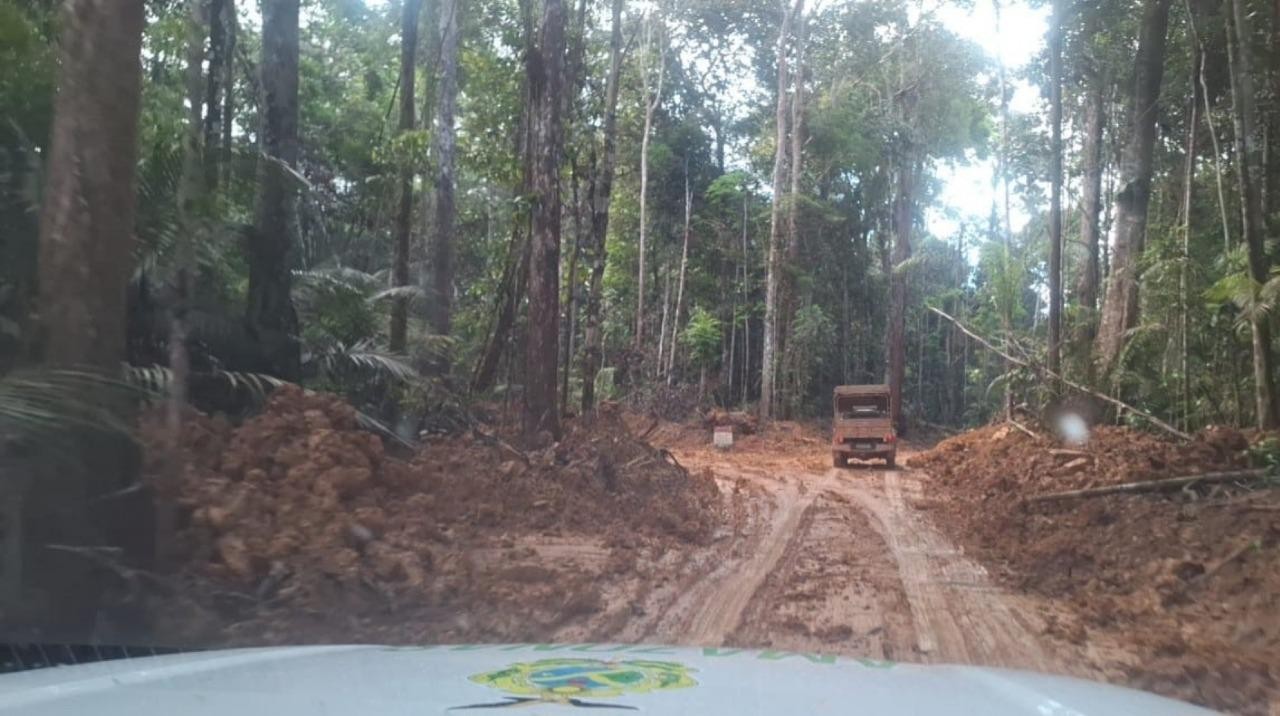 Empresário é multado em R$ 440 mil por alterar igarapé para construir balneário no interior do AM