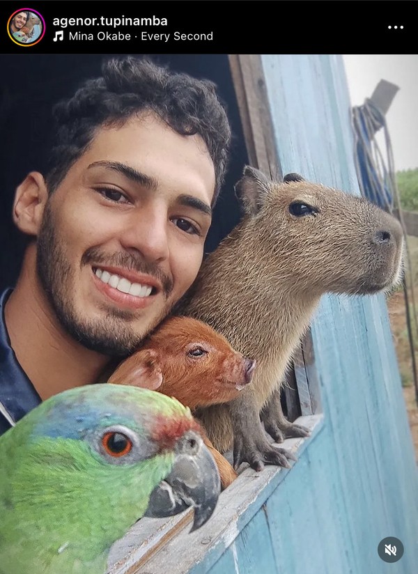 Aniversariante de 9 anos ganha festa com tema de capivara em Ribeirão Preto  e viraliza nas redes, Ribeirão Preto e Franca