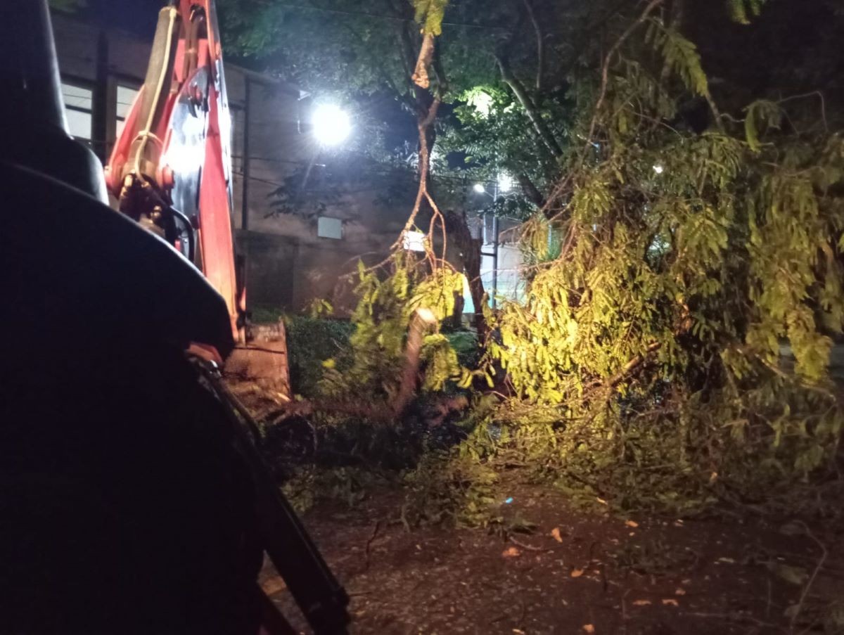 Equipes da Defesa Civil limpam áreas atingidas pelo temporal em Barra Mansa e Volta Redonda
