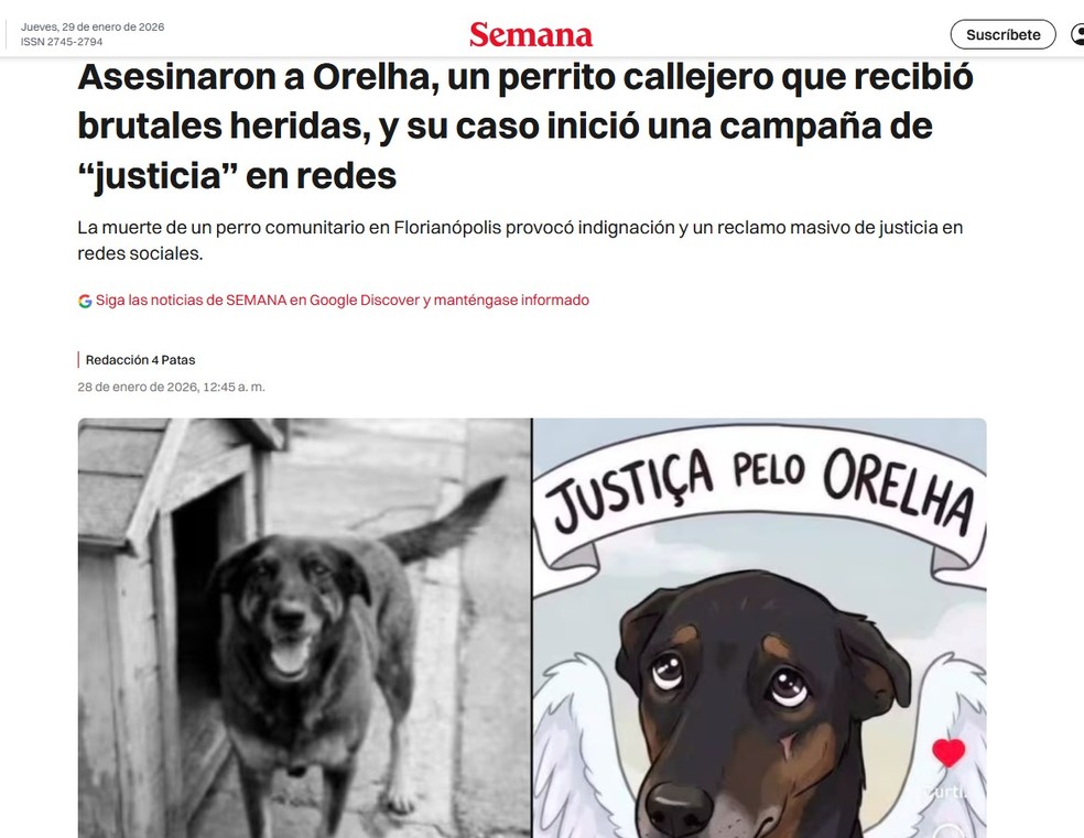 Revista Semana descreve brutalidade do caso Orelha e onda de comoção no Brasil — Foto: Reprodução