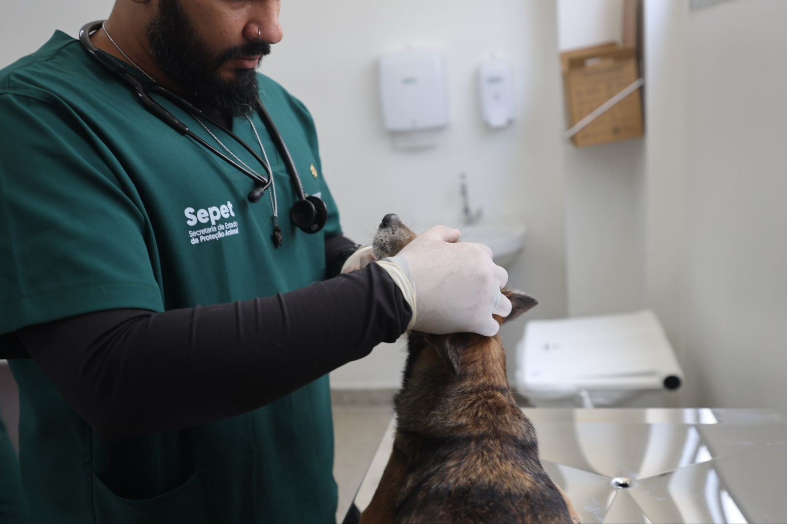 Saiba como será o atendimento no maior Hospital Público Veterinário da América Latina, inaugurado em Manaus