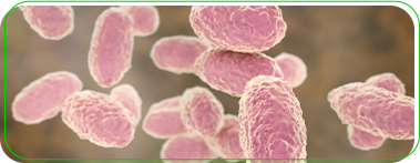 Prefeitura confirma caso de coqueluche em Porto Velho