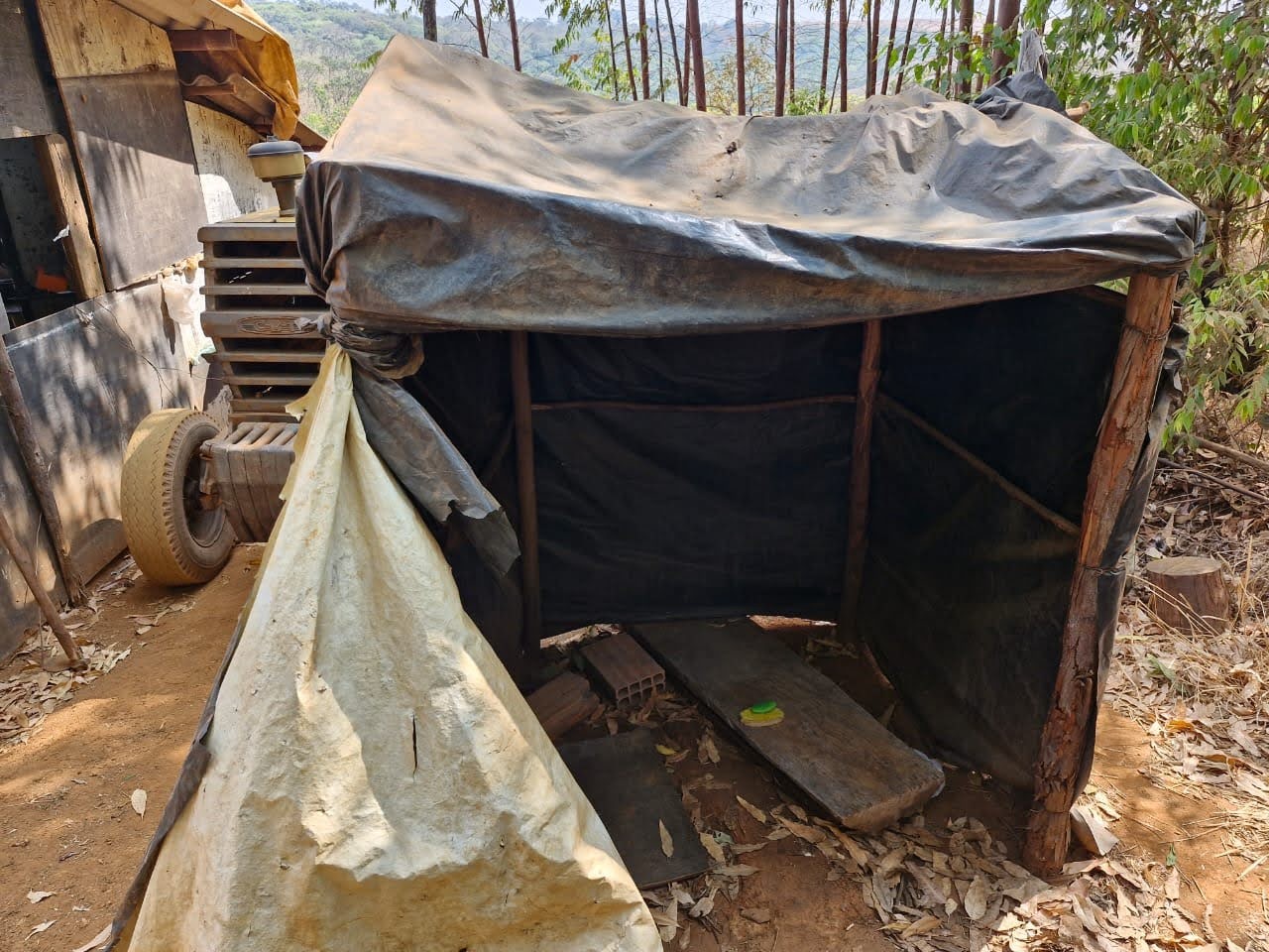 Fome, 14 horas de trabalho e alojamento de lona: homens em situação análoga à escravidão são resgatados em carvoaria de MG