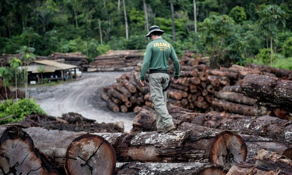 Dez municípios representam 70% da exploração ilegal de madeira em MT; veja lista