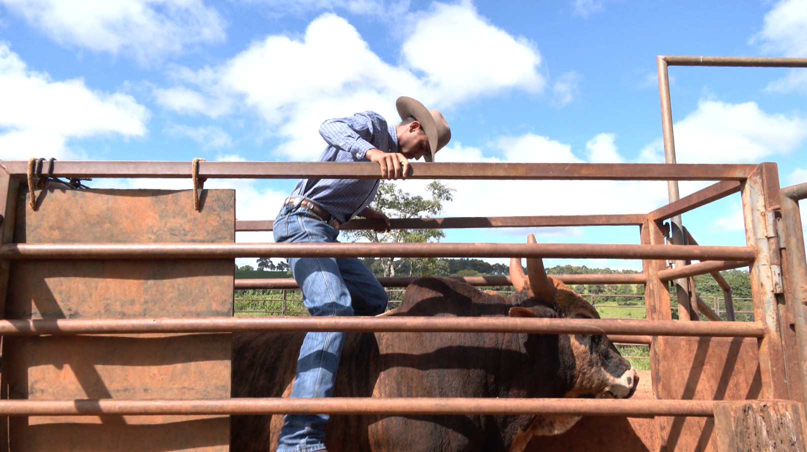 Entre o barro e a arena: como é a rotina intensa de preparo dos peões de rodeio em Araxá