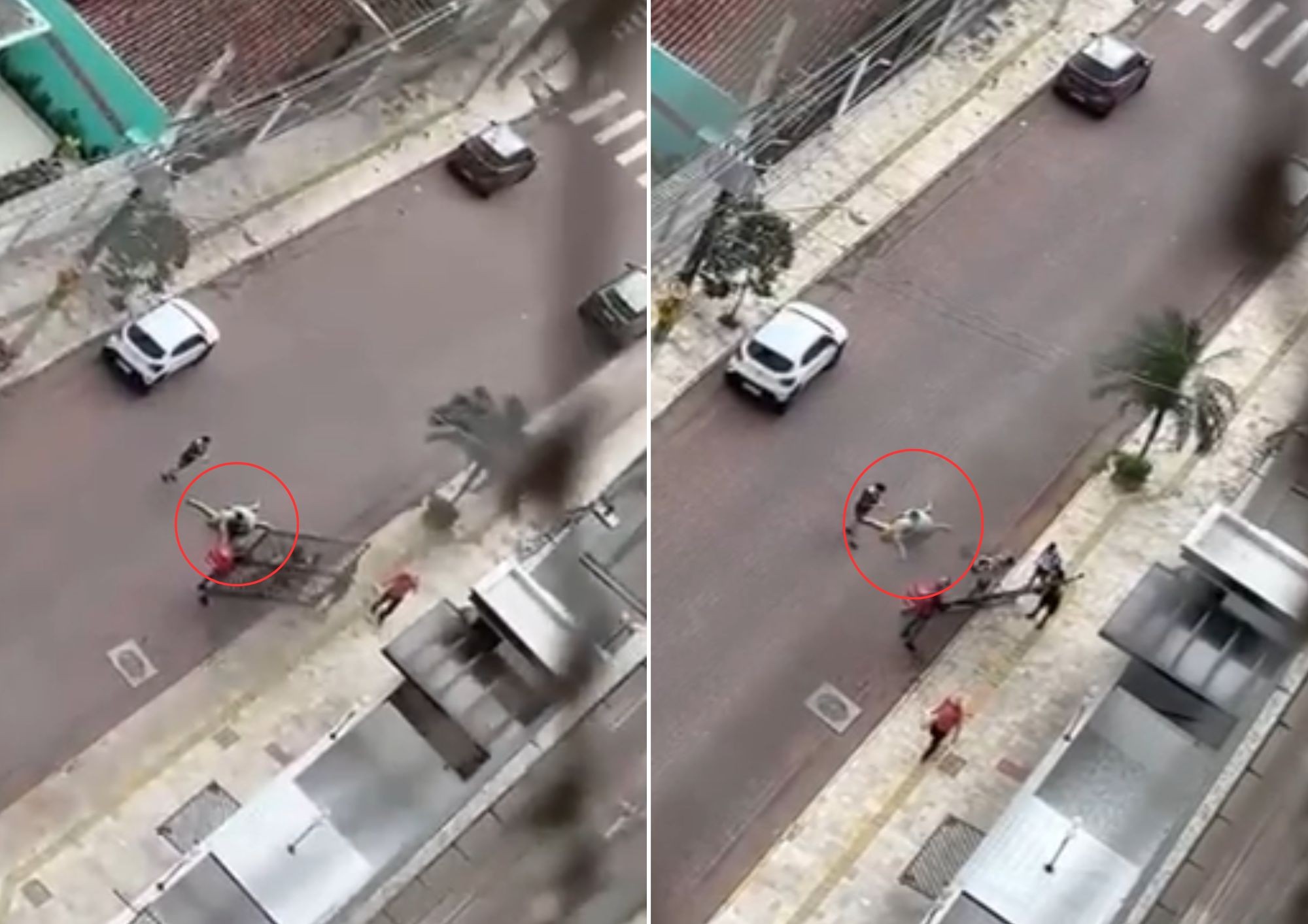 Idoso é atingido por portão que caiu em ventania com rajadas de 65 km/h no litoral de SP; VÍDEO