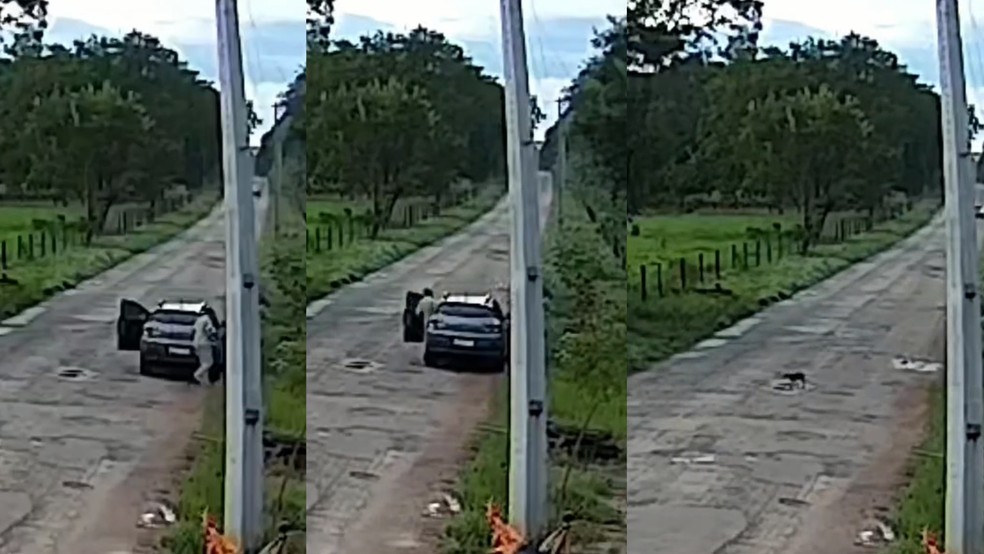 Sequência de imagens que mostram o momento em que a suspeita vai até a região de mata e abandona o filhote — Foto: Reprodução