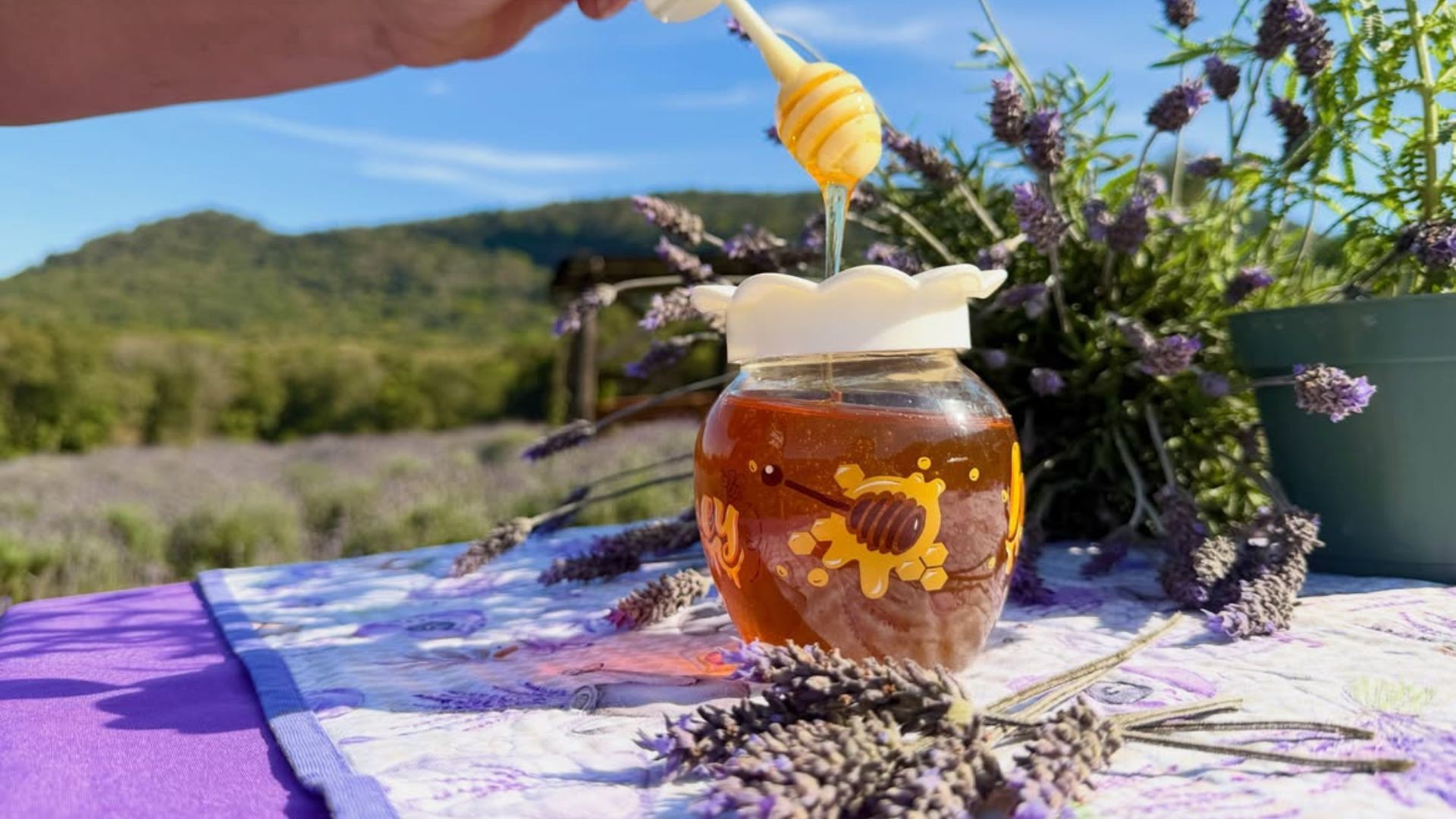 Cidade gaúcha apresenta mel de lavanda em evento que tem xampu e até cerveja feita com a flor