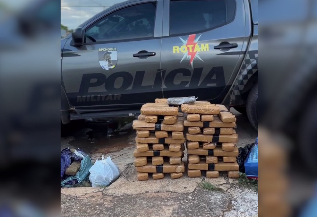 Denúncia anônima leva PM a apreender 81 kg de maconha em setor de Palmas