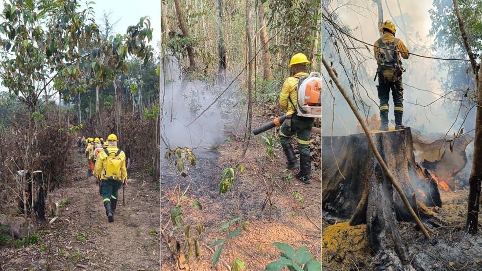 Ações de combate aos Incêndios florestais em Parintins no Amazonas (Foto: Ibama)