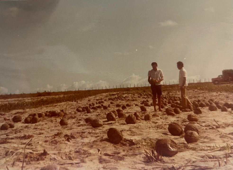 Imagens da família de Iracema Correia mostram José Maria Morais Machado em plantações de caju e coco na região em 1982 — Foto: Arquivo Pessoal
