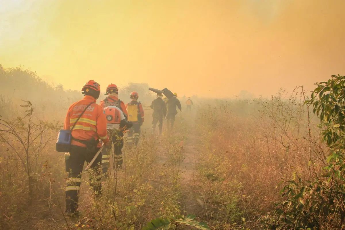 Corumbá decreta emergência diante do avanço das queimadas no Pantanal