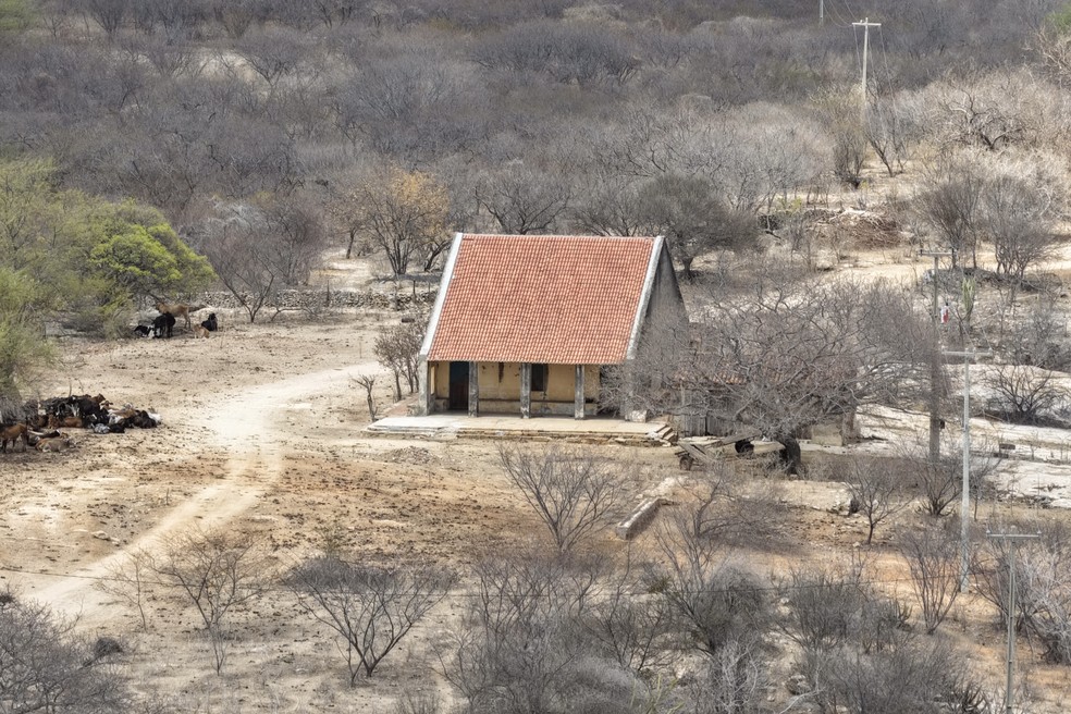 Imagem Daniel Medeiros