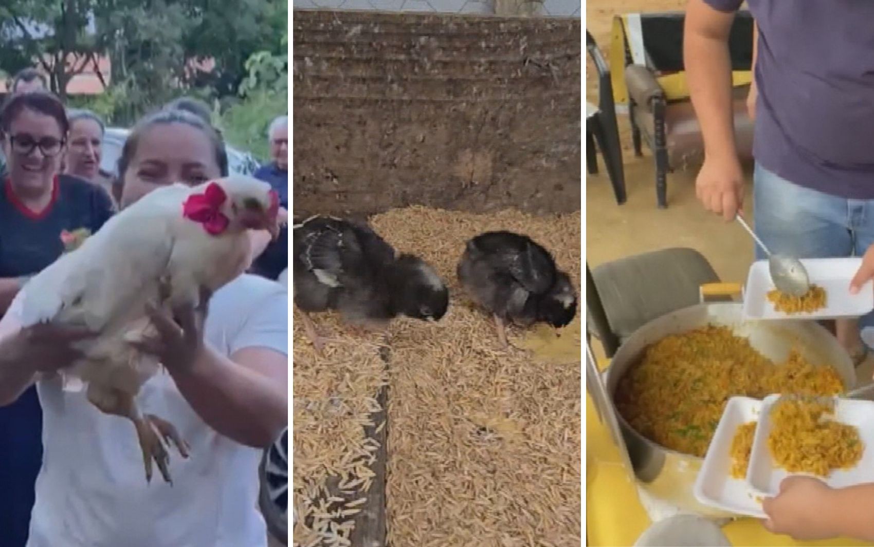 Lavradora que ganhou 'chá de galinha' ficou surpresa e emocionada com ação de amigos: 'Fiquei boba de ver' 