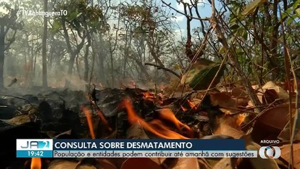 População pode participar de consulta pública sobre desmatamento; veja como contribuir