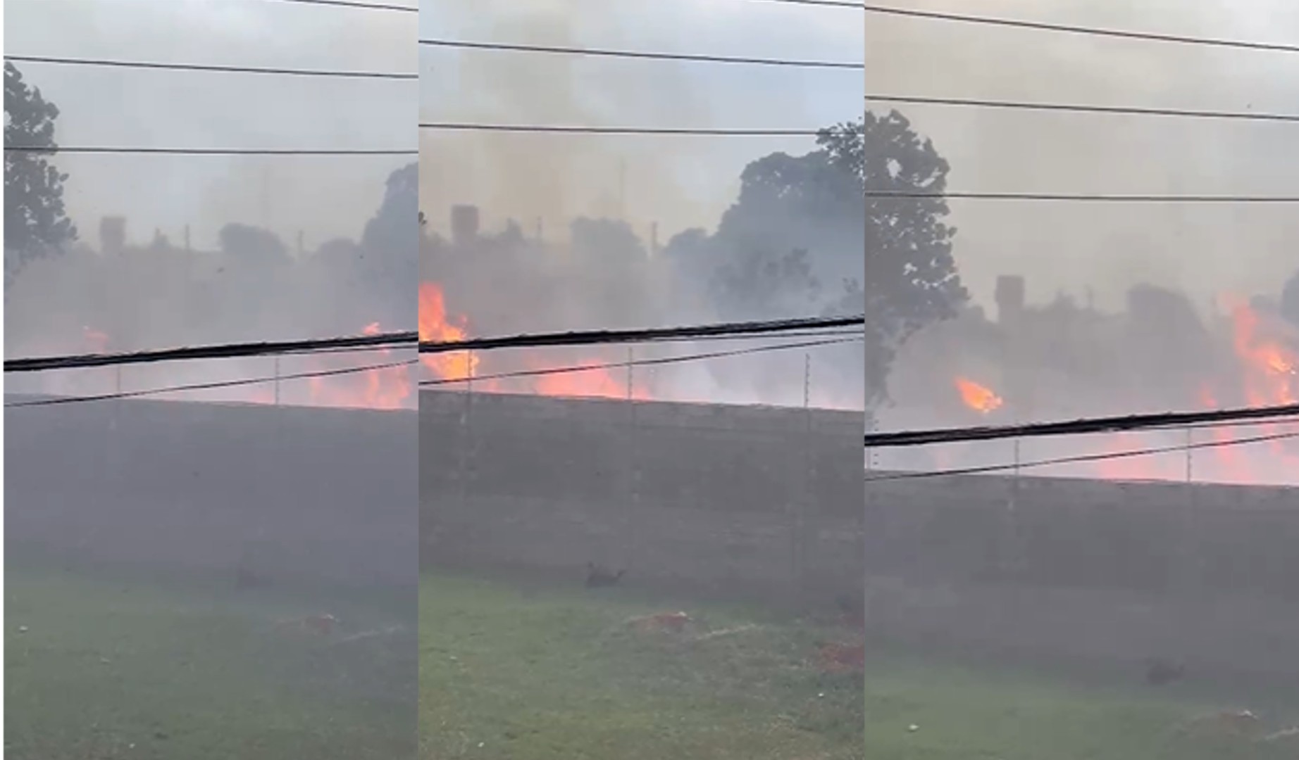 Com incêndio em vegetação próxima a condomínios, fumaça aciona alarme de hospital em Campo Grande