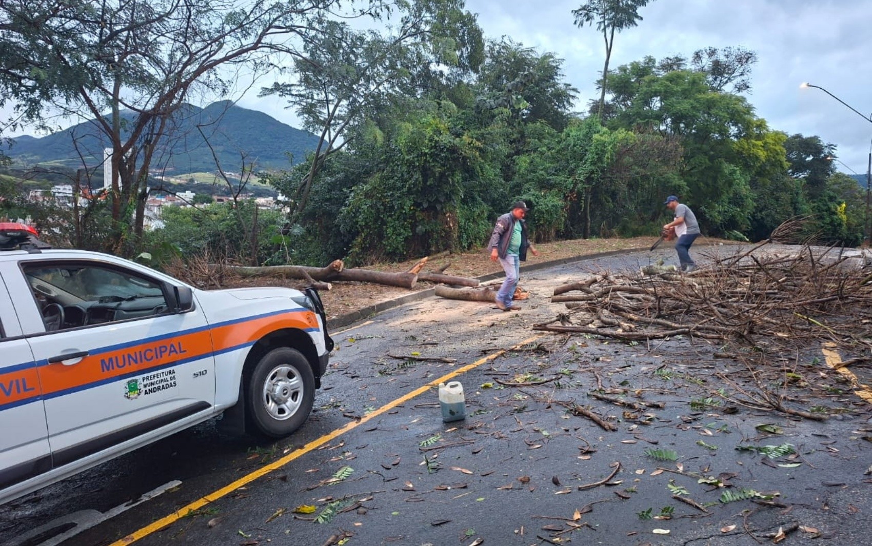 Chuva com ventos causa queda de árvore, destelhamento e falta de energia em cidades do Sul de Minas