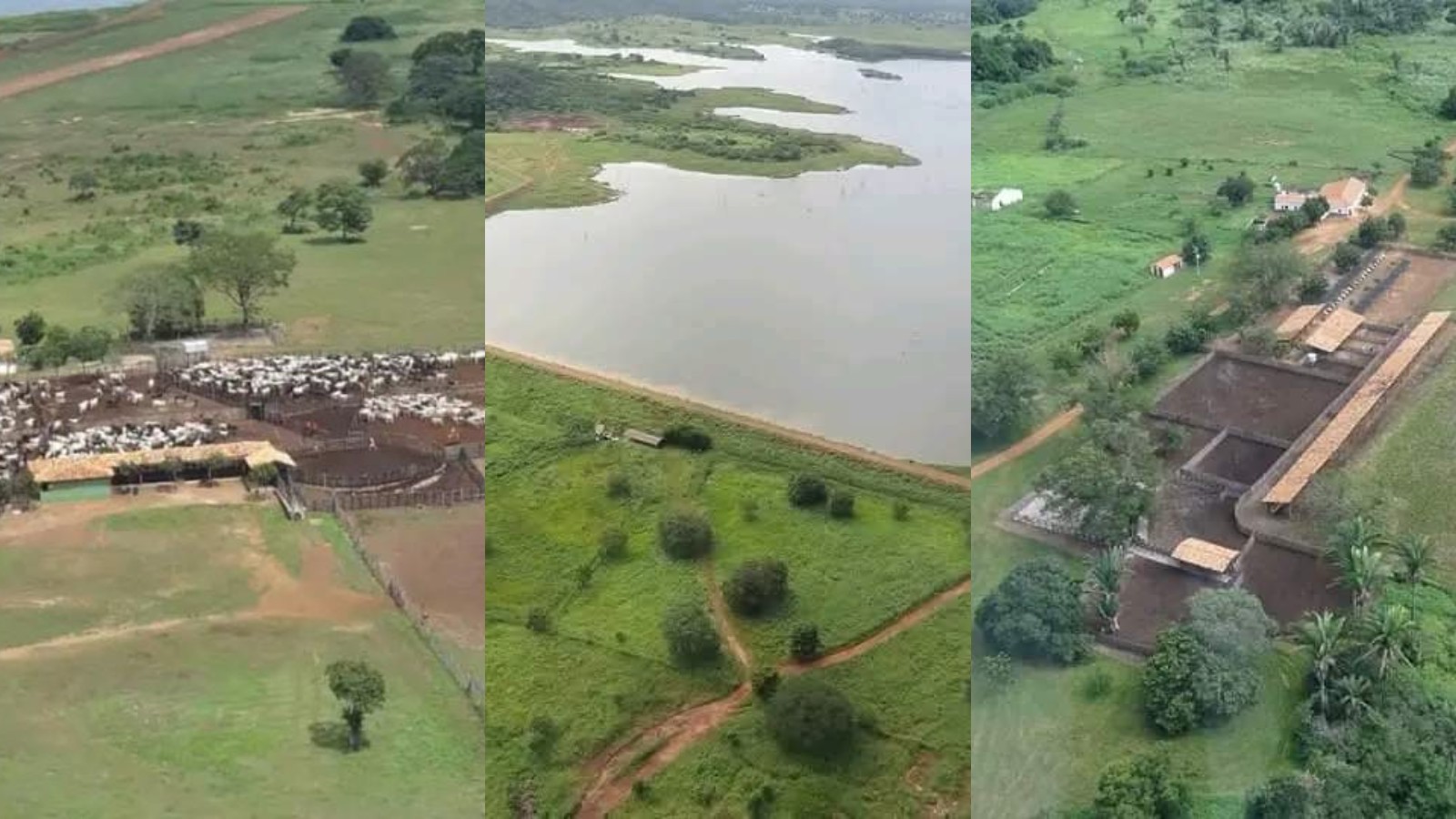 Fazenda de 176 mil hectares fica à venda por R$ 1,2 bilhão no interior do Piauí; saiba mais sobre propriedade