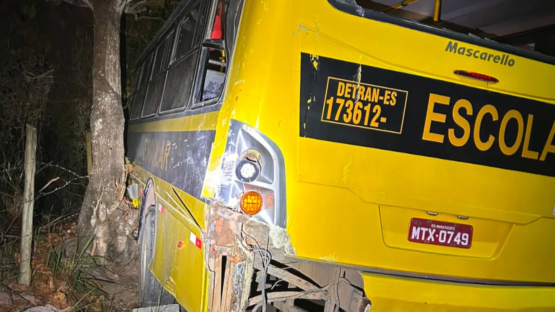 Ônibus escolar bate em árvore e deixa crianças feridas no ES