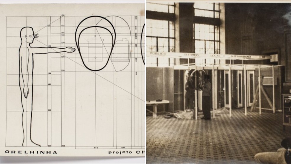 Cidades do interior de SP possuem mais de 550 orelh&otilde;es ativos Bauru SP &mdash; Foto: Acervo de Chu Ming Silveira/reprodu&ccedil;&atilde;o