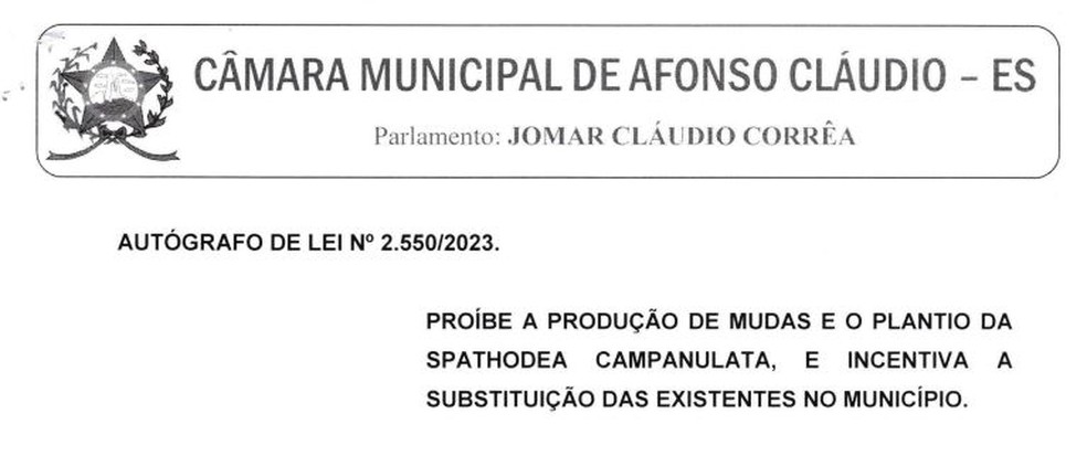 Decreto proíbe plantio de Espatódea em Afonso Cláudio, na Região Serrana do Espírito Santo — Foto: Reprodução