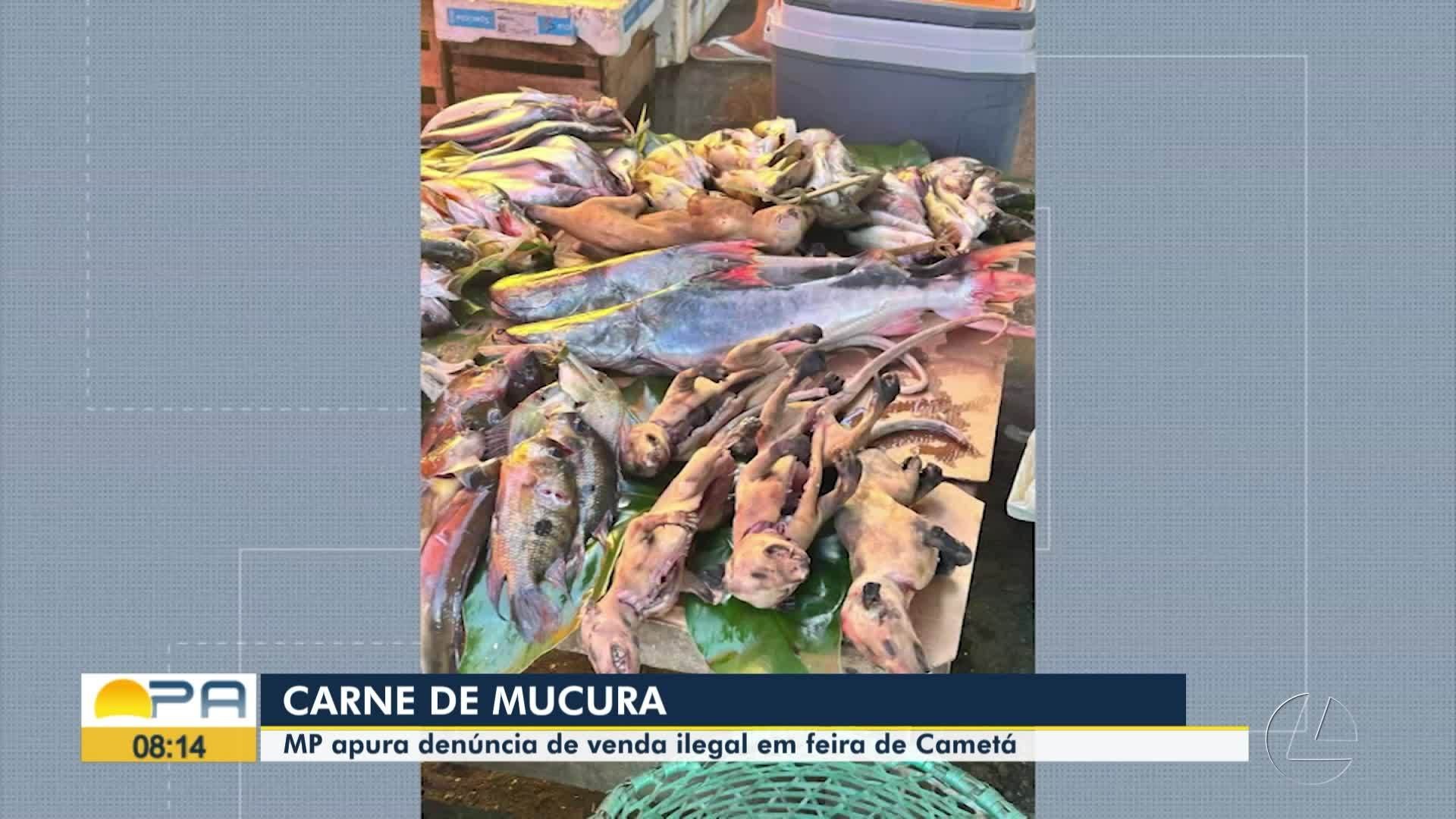 Você Não Tá Convidada pro Meu Bat Mitzvá!