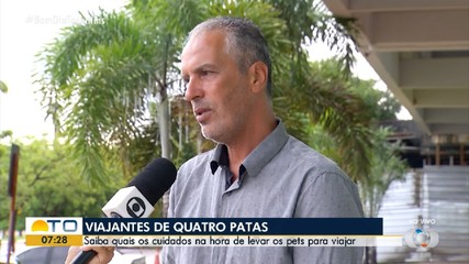 Saiba quais são os cuidados ao levar os pets para viajar
