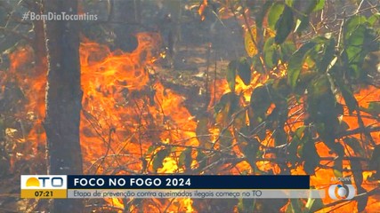 Foco no Fogo: prevenção contra queimadas ilegais começa no Tocantins