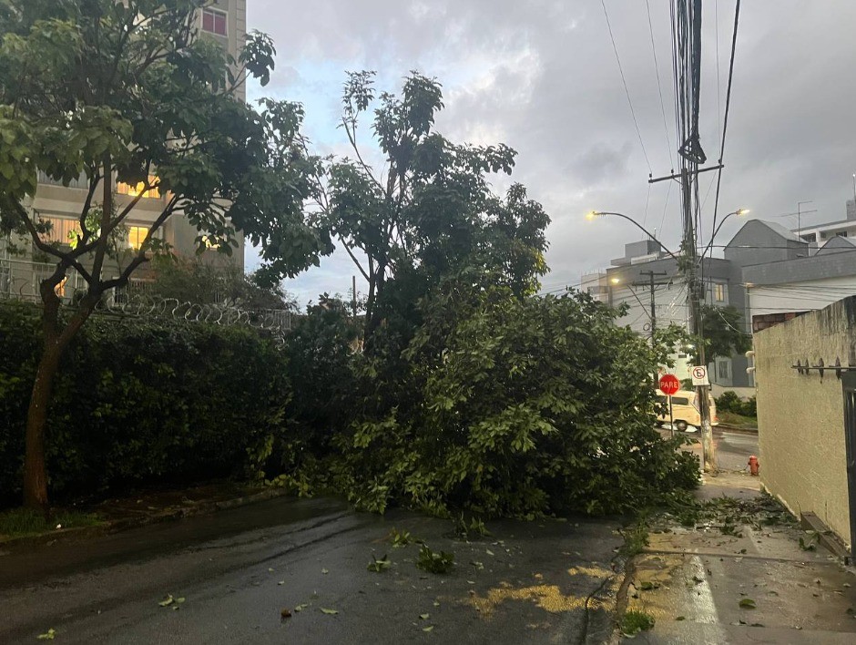 Chuva causa alagamentos em Venda Nova, em BH; VÍDEOS