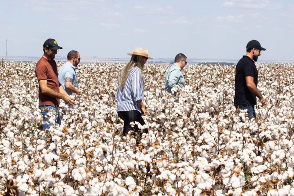 Prefeitura de Campo Verde — Foto: Assessoria