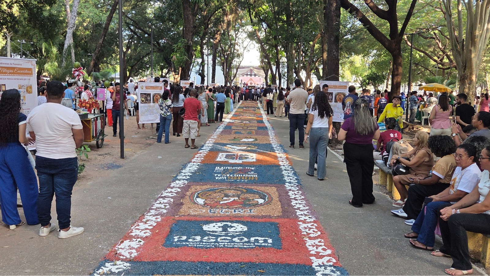 Tapetes de Corpus Christi transformam ruas e emocionam fiéis em celebração no Centro de Teresina; vídeo