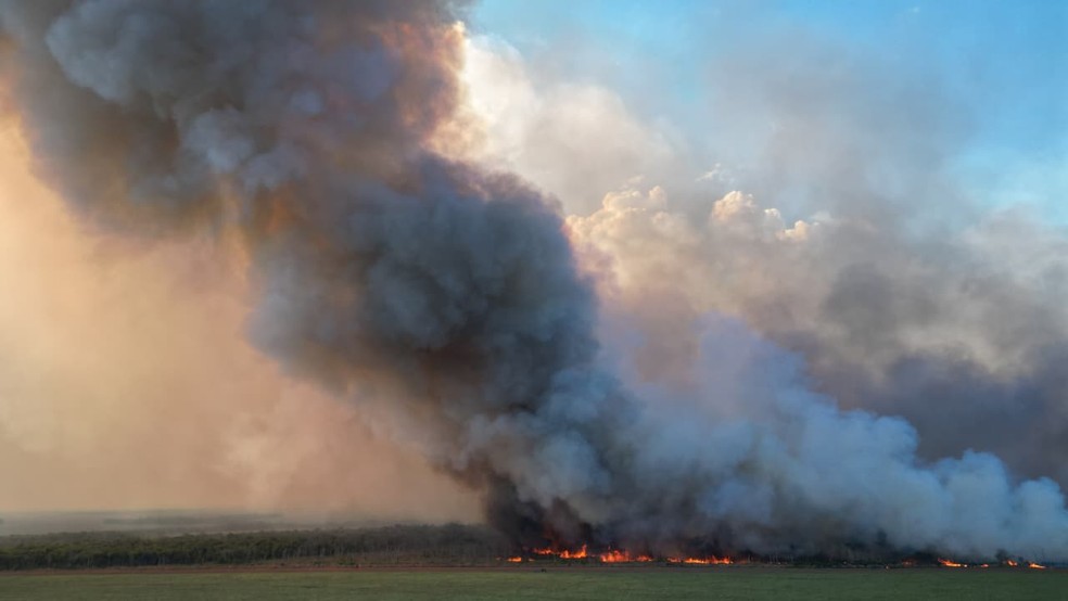 Incêndio de grandes proporções atinge lavoura e reserva florestal em MT — Foto: Arquivo pessoal