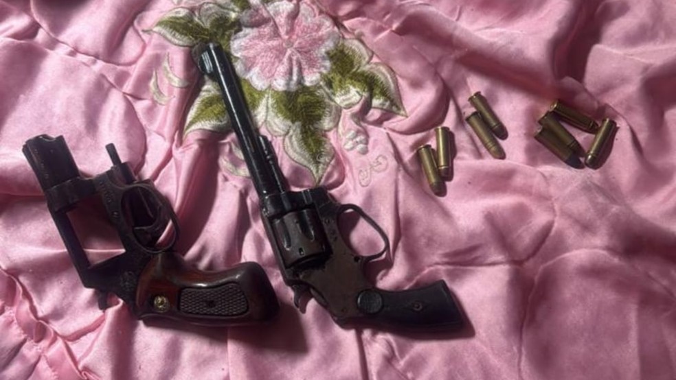 Armas utilizadas no crime em fevereiro — Foto: Polícia Civil/Divulgação