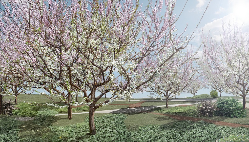 Arvores dos 40 frutos está em Nova York, no Estados Unidos. — Foto: Sam Van Aken/ Reprodução