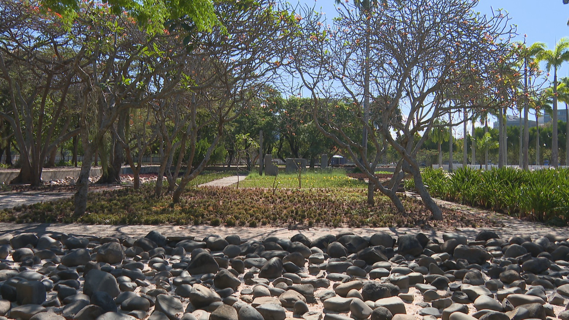 MAM recebe reforma de R$ 40 milhões para o G20