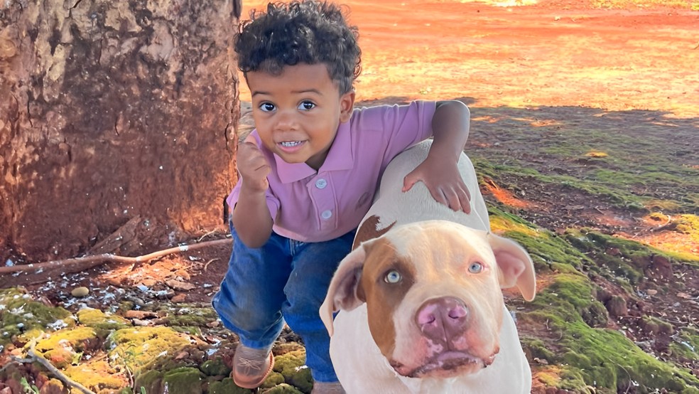 A mãe de Luiz Felipe conta que o sonho dela é viralizar nas redes sociais mostrando o dia a dia do filho | Foto: Reprodução/Arquivo Pessoal