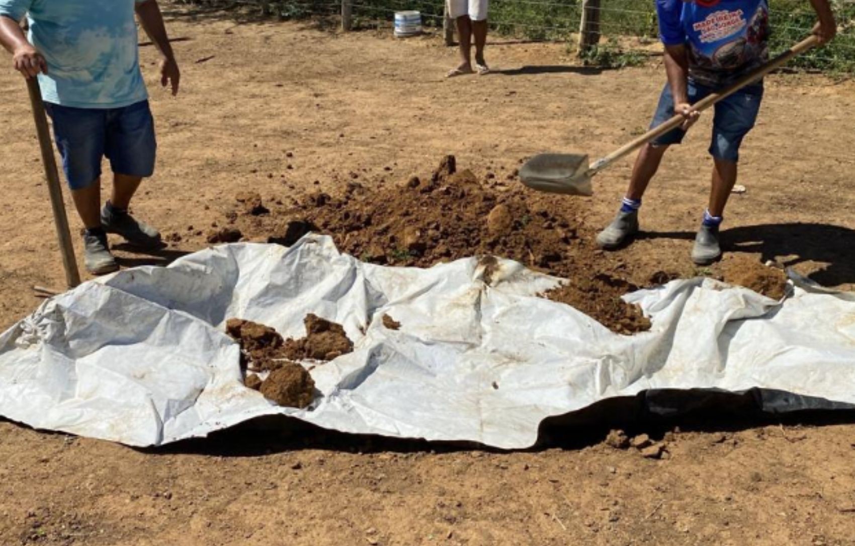 Ossada humana é encontrada em propriedade rural de Frei Paulo; filhos confessaram o crime