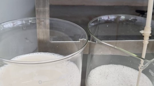 Leite sem vaca: empresa brasileira insere DNA bovino em microrganismos para produzir a bebida; entenda - Modificação serve como um conjunto de instruções para fungos e leveduras produzirem proteínas do leite. Técnica conhecida como "fermentação de precisão" é parecida com a de produção de cervejas e vinhos.