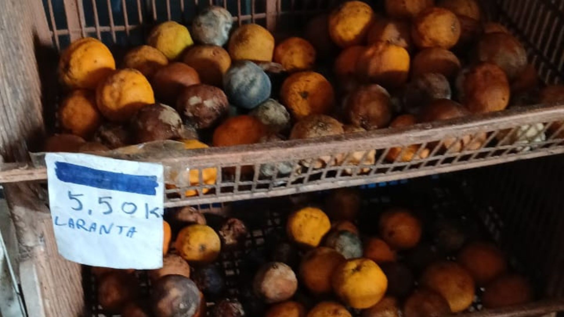 Parentes entram no mercado da família Aguiar pela 1ª vez após desaparecimento no RS e encontram alimentos podres, ratos e baratas