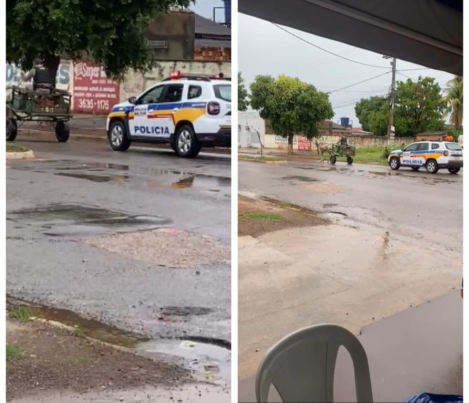 Policial assume condução de carroça após prender dono em MG e cena viraliza; VÍDEO