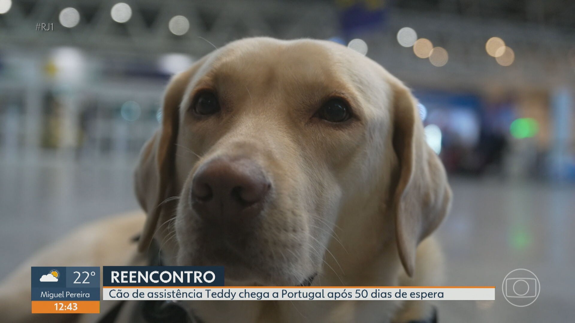 VÍDEOS: RJ1 de sábado, 31 de maio de 2025