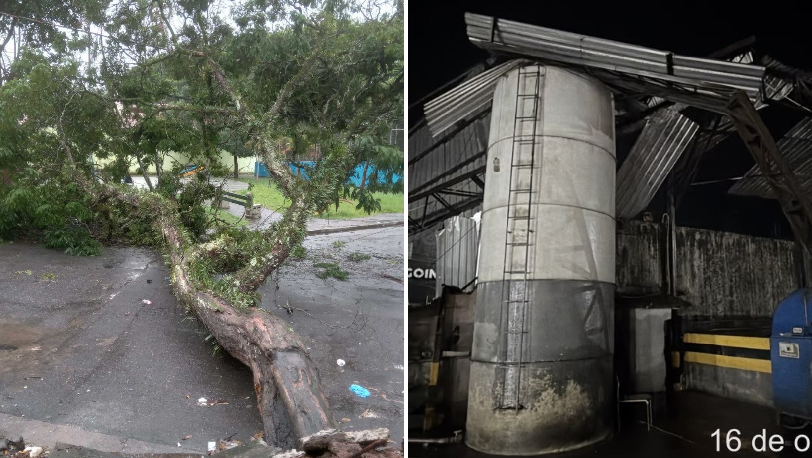 Chuva e ventos fortes provocam desabamento de telhado, queda de árvore e estragos no Vale e região