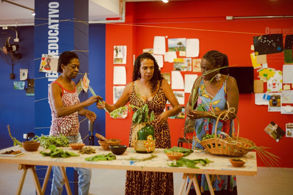 Oficinas gratuitas ensinam uso tradicional de ervas e preparo de chás em Campo Grande