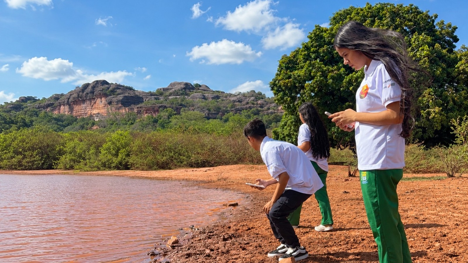 Alunos usam IA para monitorar insetos que ajudam a preservar biodiversidade no PI