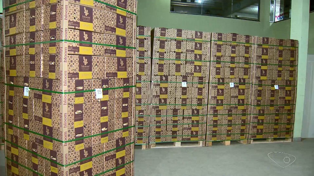 Espírito Santo importa gengibre para Estados Unidos, Oriente Médio dentre outros países — Foto: Reprodução/TV Gazeta